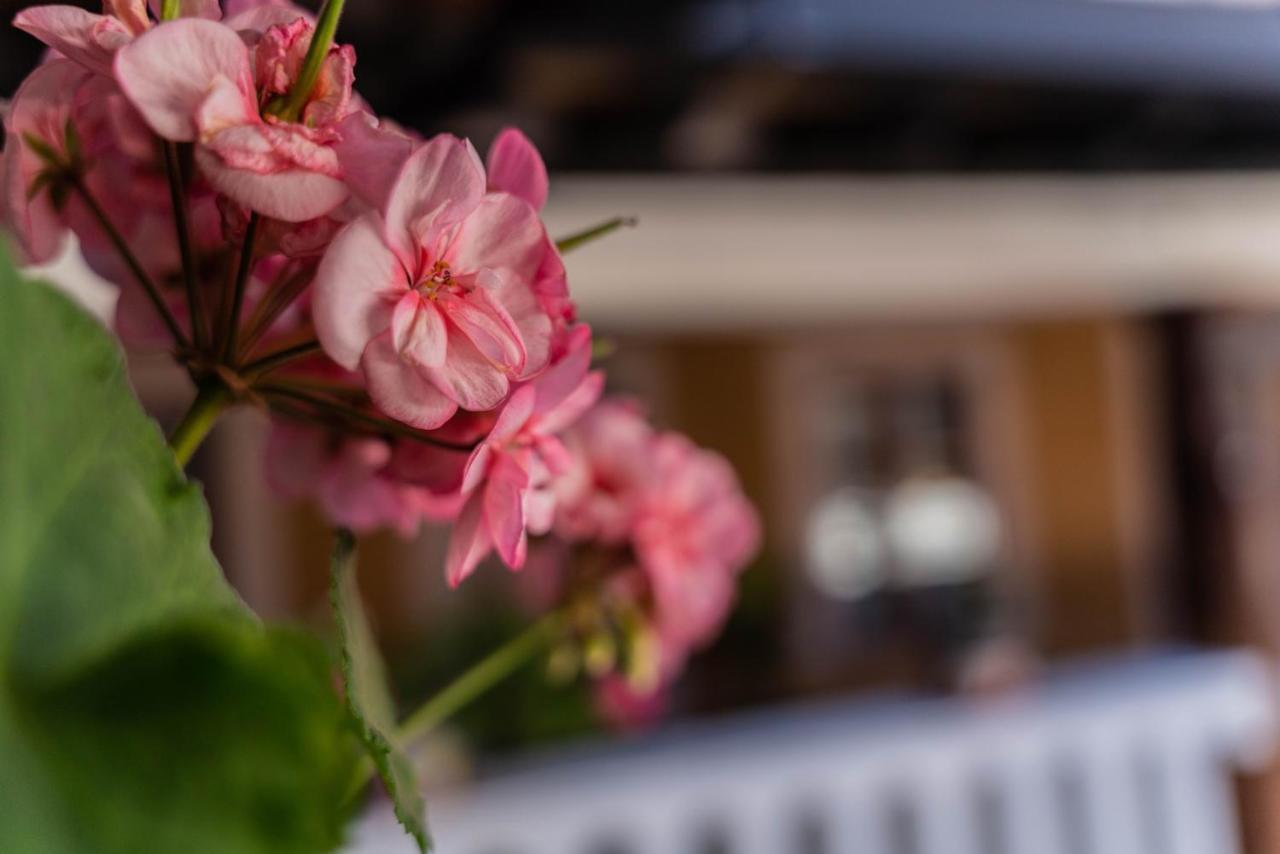 Casa Graciela Hotel Пацкуаро Экстерьер фото